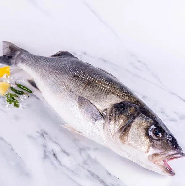 Fresh Sea Bass